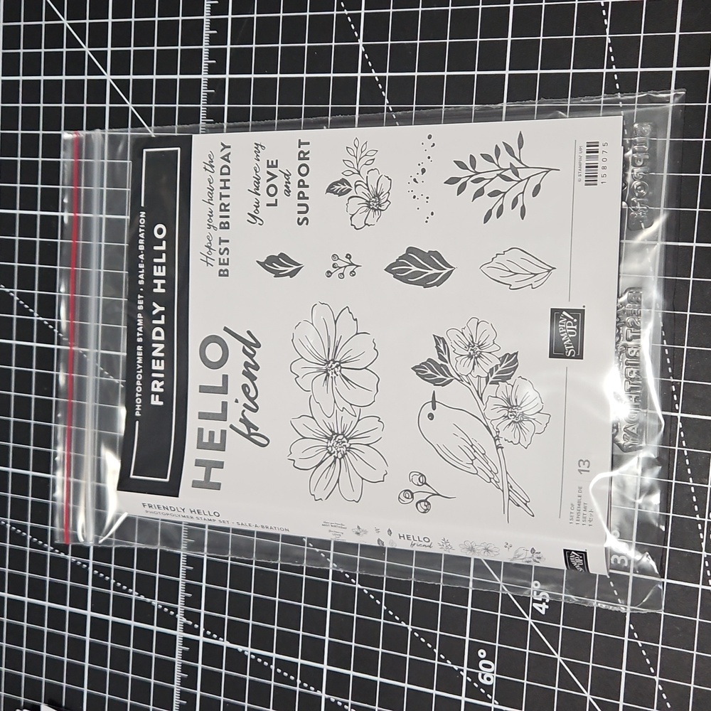 FRIENDLY HELLO Stampin Up! photopolymer stamp set